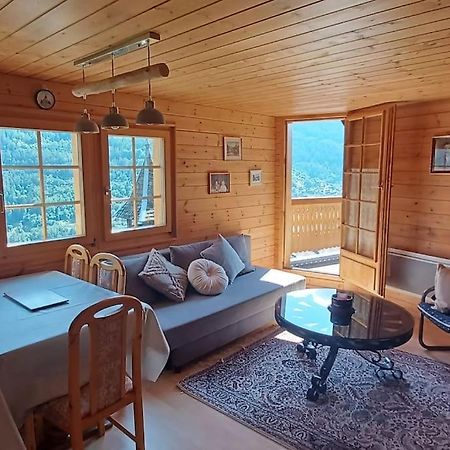 Chalet 3 Pieces De Caractere Mayoux Екстериор снимка